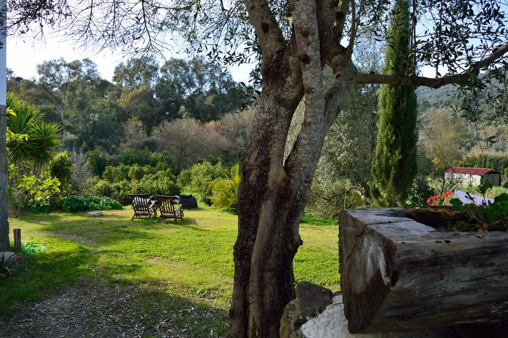 Casa Rural Ahoraya El Colmenar Εξωτερικό φωτογραφία