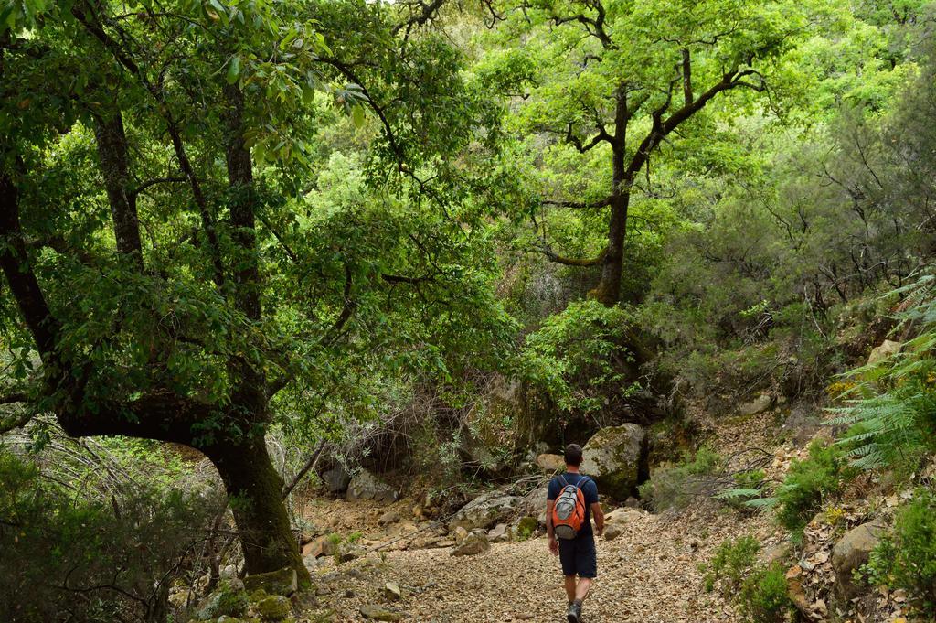 Casa Rural Ahoraya El Colmenar Εξωτερικό φωτογραφία