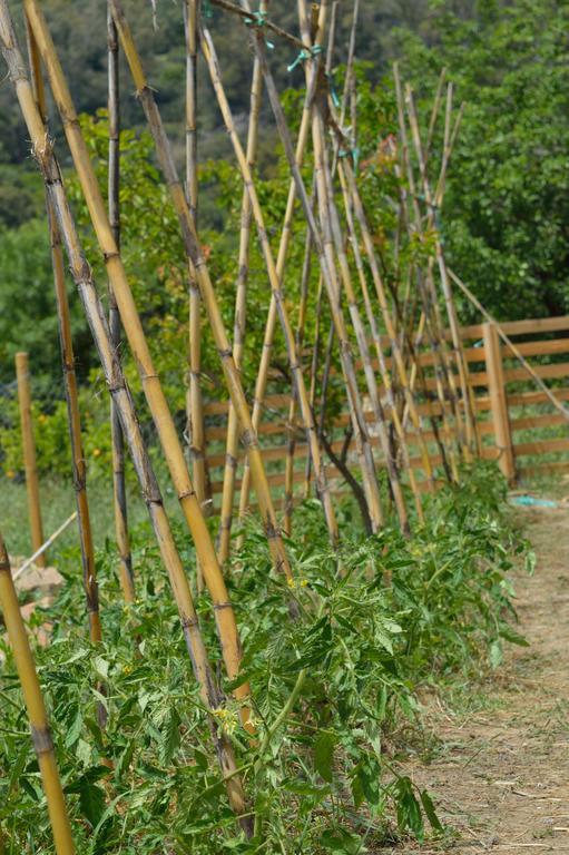 Casa Rural Ahoraya El Colmenar Εξωτερικό φωτογραφία