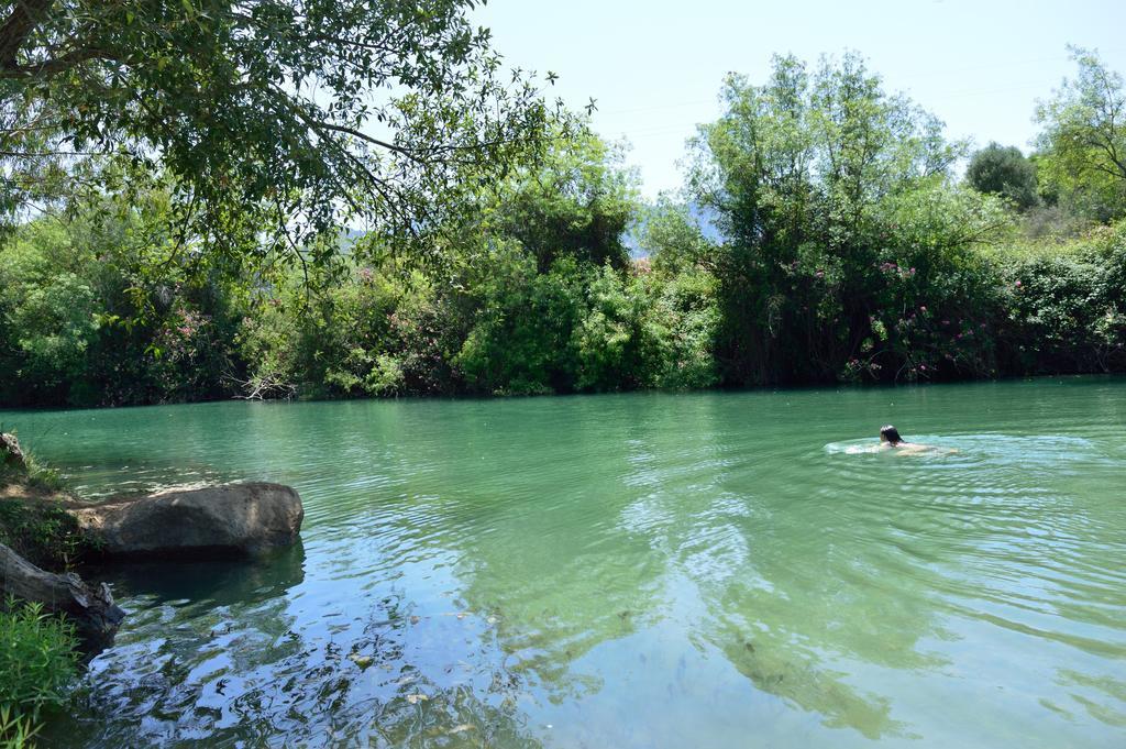 Casa Rural Ahoraya El Colmenar Εξωτερικό φωτογραφία