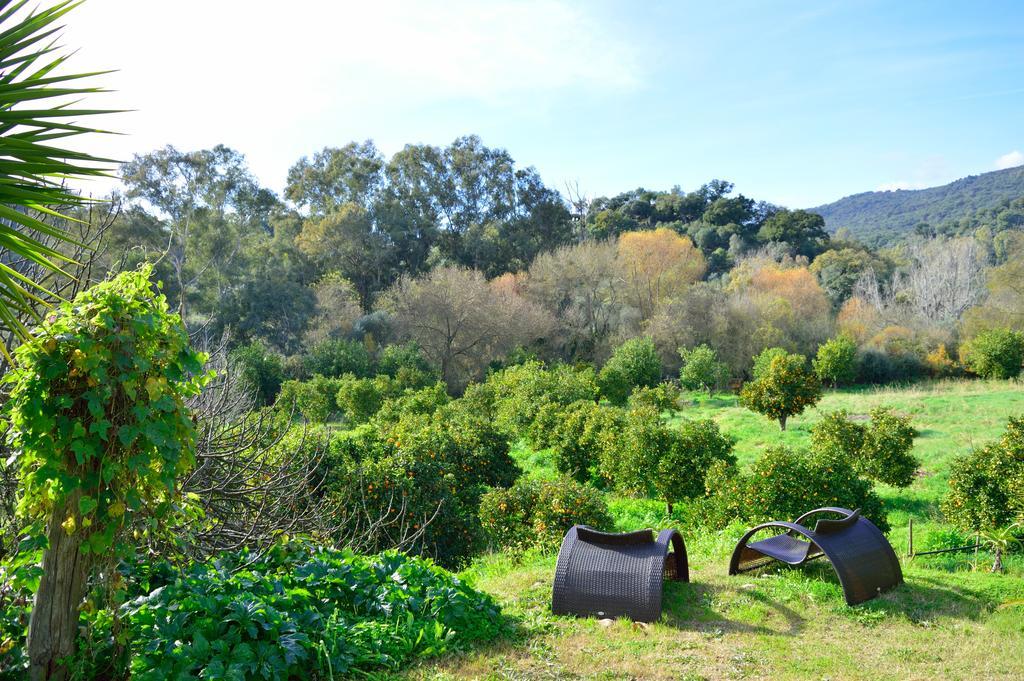 Casa Rural Ahoraya El Colmenar Εξωτερικό φωτογραφία