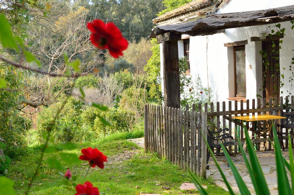 Casa Rural Ahoraya El Colmenar Εξωτερικό φωτογραφία