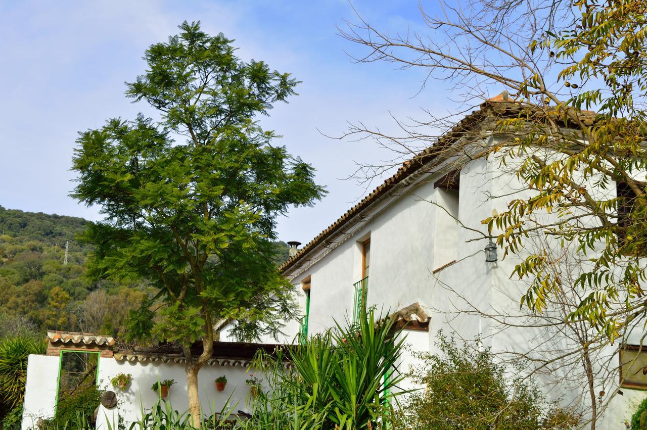 Casa Rural Ahoraya El Colmenar Εξωτερικό φωτογραφία